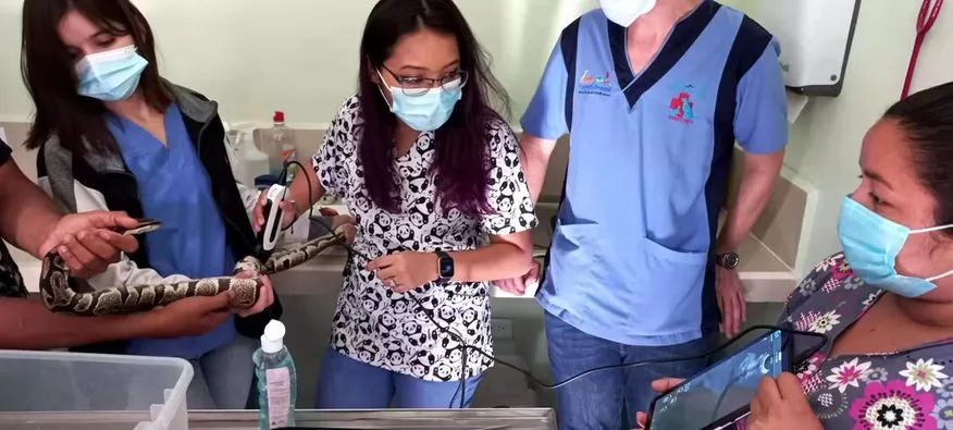 Our state-of-the-art veterinary ultrasound equipment offers customizable presets; starting presets are set by veterinarians with hands-on experience with the equipment