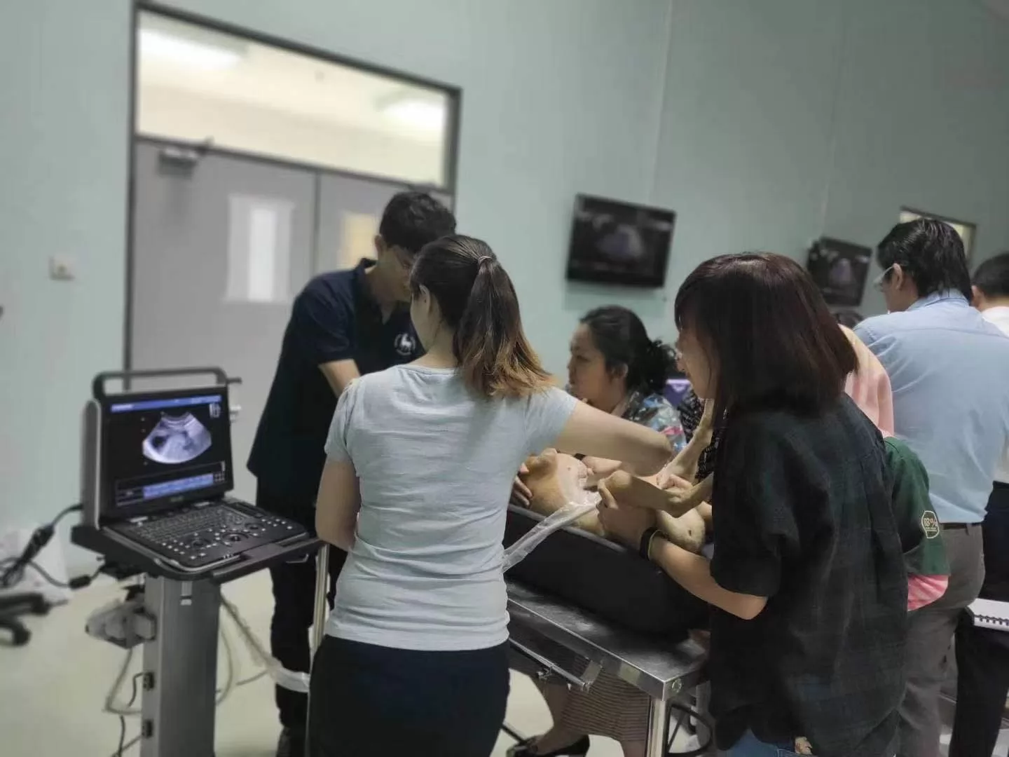 Lightweight and extremely durable scanner provides excellent image quality with multiple probe options including back fat, rectal linear and abdominal convexity.