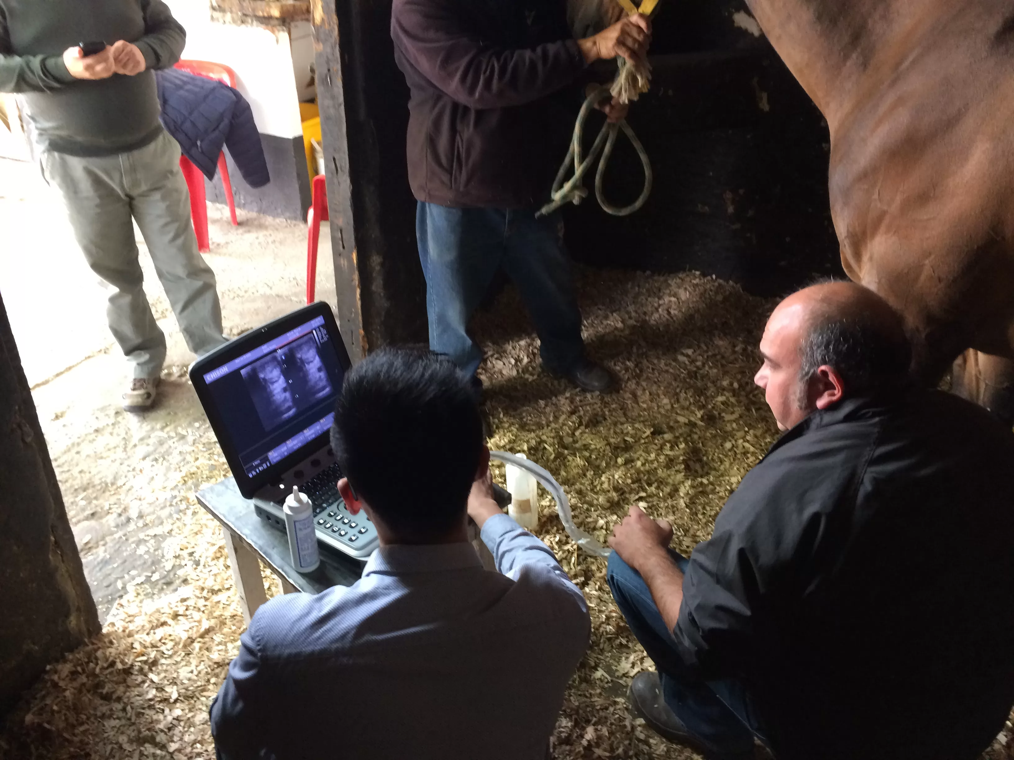 Portable veterinary ultrasound systems are designed for the harshest environments and can be imaged anywhere you need them.